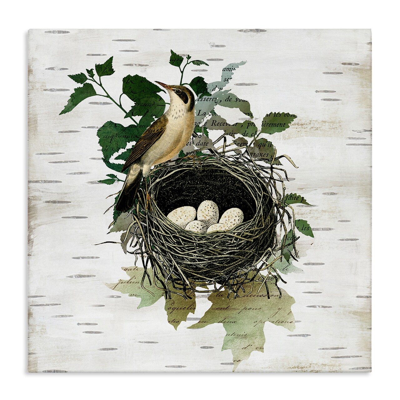 Stupell Industries Vintage Bird Nest & Flora Canvas Design by Susan Arnot
